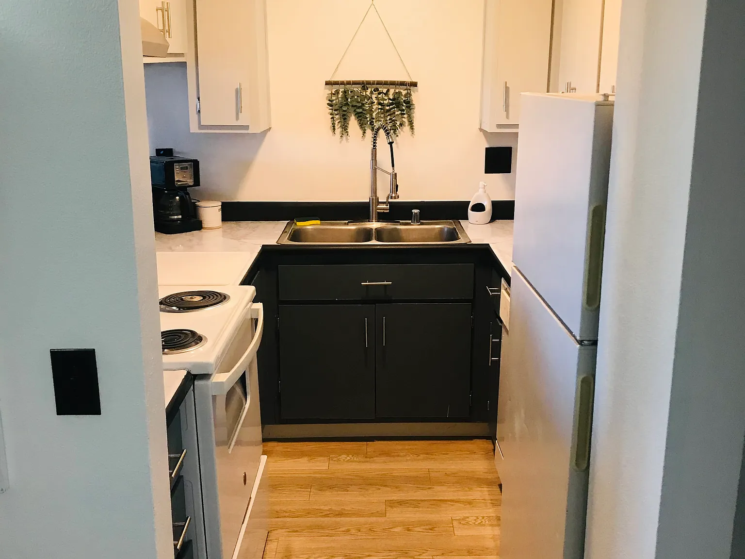 1 bed, 668 sqft, $1,450 — Photo 3