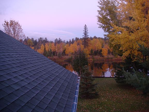 autumn view