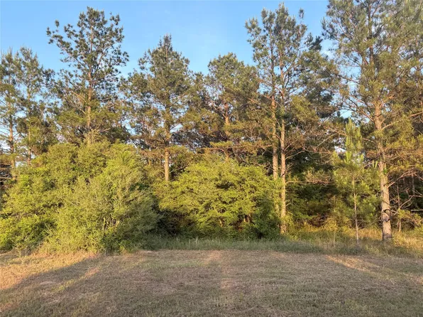 9130 Black Buck Ln, Conroe, TX 77303