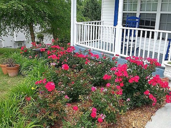 Landsaped for curb appeal.