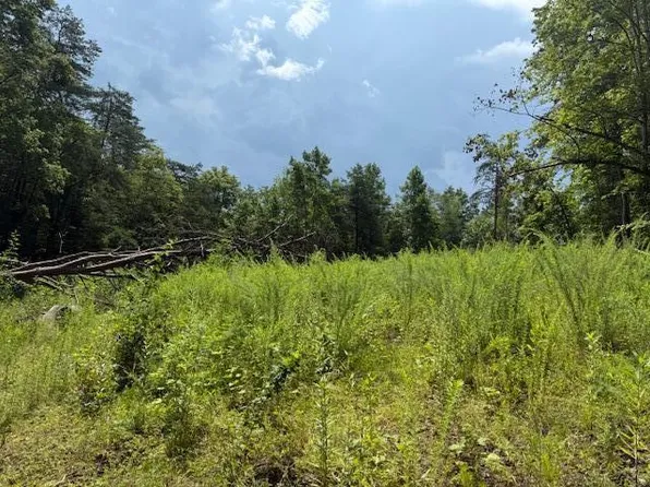 0 Highway 1569, Wellington, KY 40387