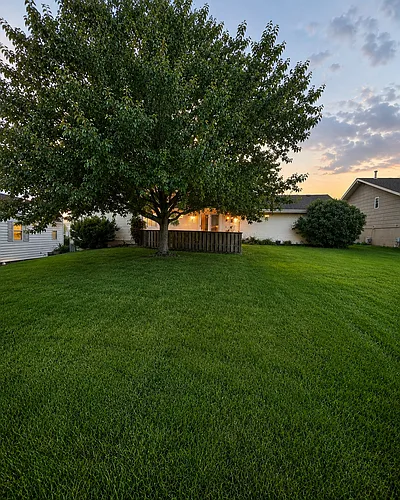 16116 Arbor Ct Photo 1