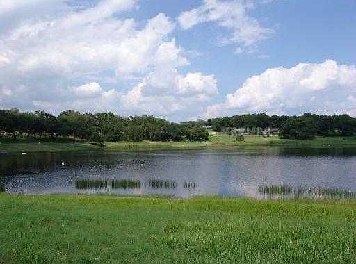 Hidden Oaks Lady Lake Fl