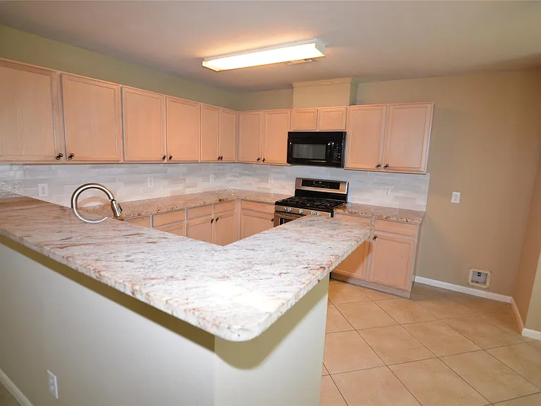 3903 Brighton Springs Ln — Photo 10