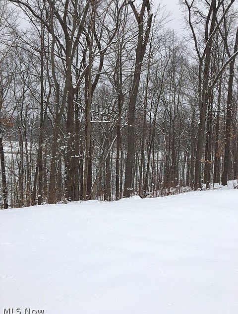 2nd image of Chapelton Ct