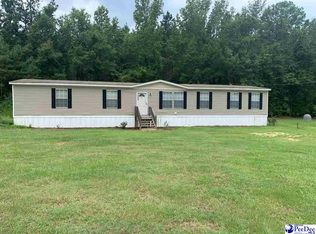4524 Armfield Rd, Effingham, SC 29541