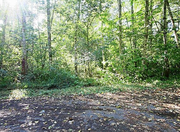 4th image of 7597 Glacier Springs Dr