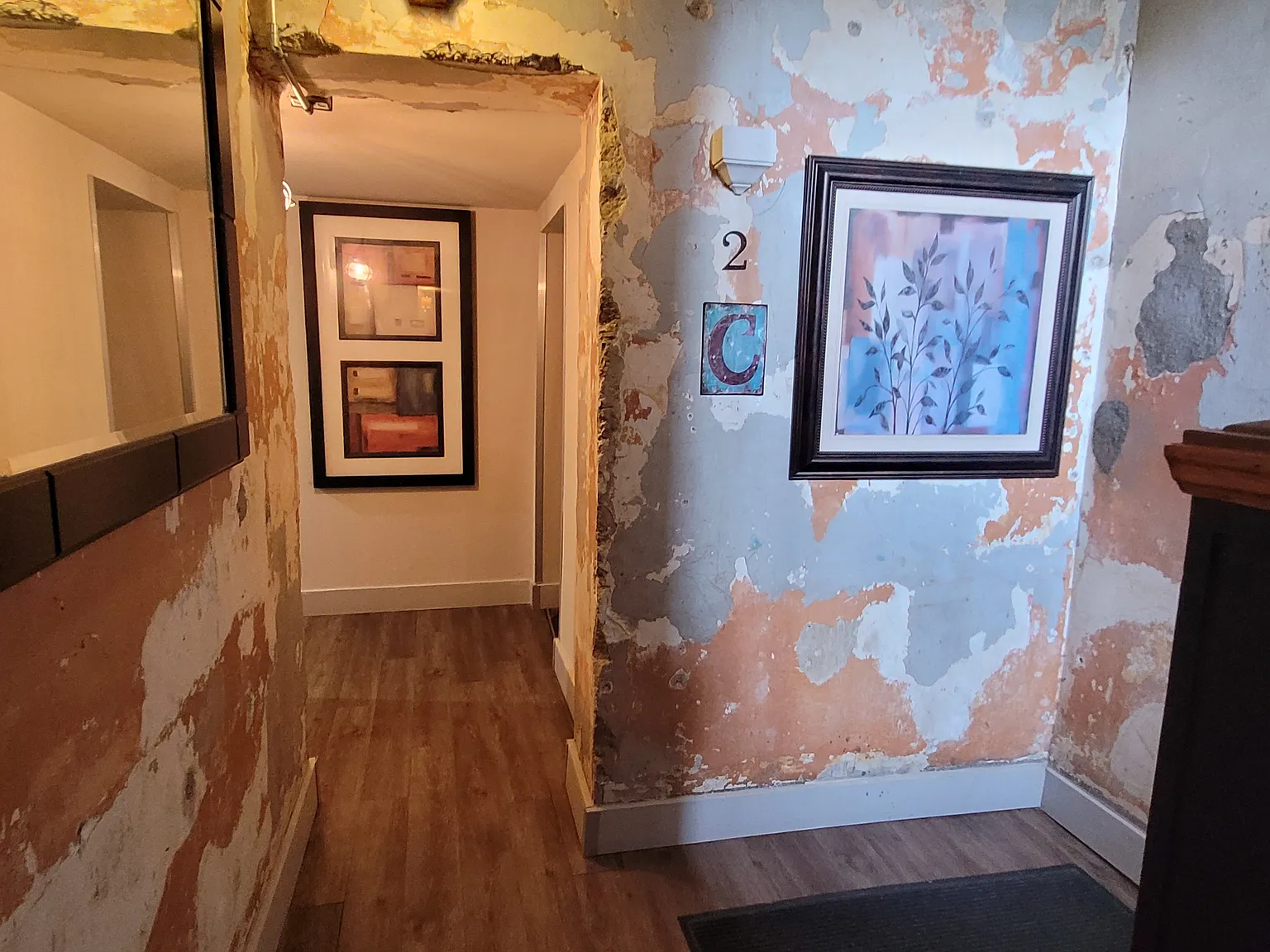 1 bed, 800 sqft, $1,250 — Photo 3