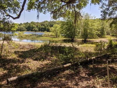 124 NE 841st Ave, Old Town, FL, 32680