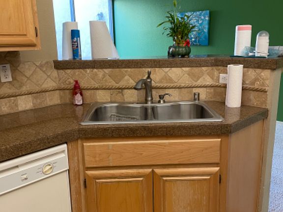 Kitchen Sink and Dishwasher
