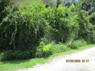 0 SE 41st Ter, Belleview, FL, 34420