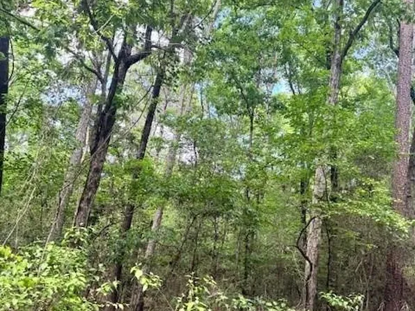 LOT 21 Red Bud Ln, Etoile, TX 75944