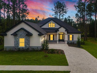 19554 Autumn Oak Ln, Brooksville, FL, 34601