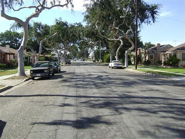 2nd image of 4236 Lugo Ave