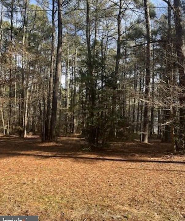 1st image of S Glebe Rd