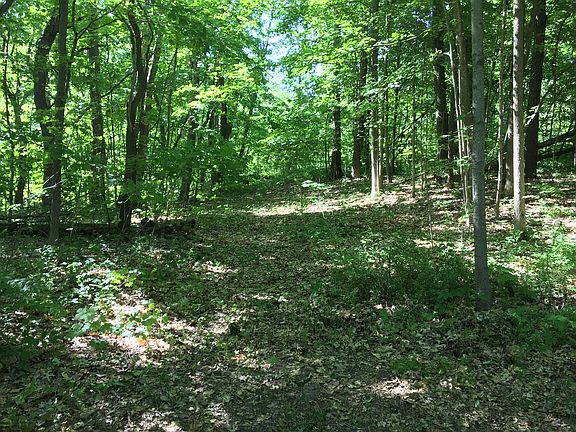 Upper river access track