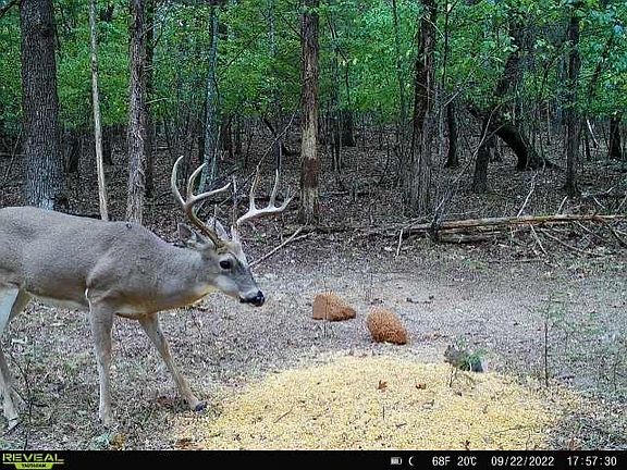 5th image of 605 County Road 8010