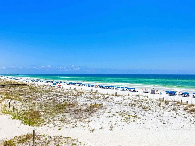 Window View