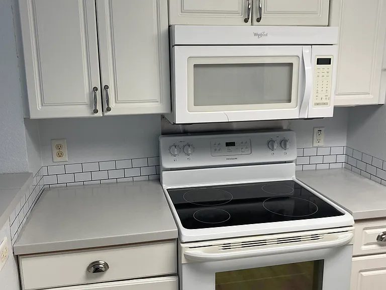 1335 Washington Palm Loop — Photo 14