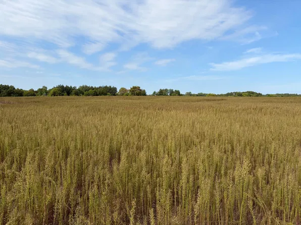 Yellow Pine St NW, Isanti, MN 55040