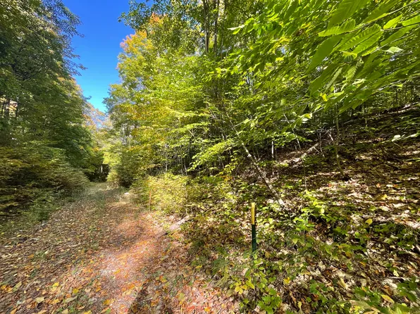 Jo Ca Ln, Vanderbilt, MI 49795