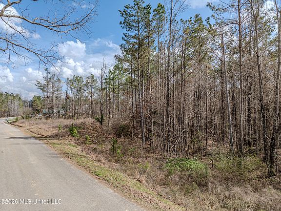 3rd image of Wilkins Chapel Rd