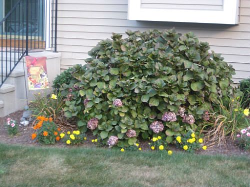 Beautiful front entrance !