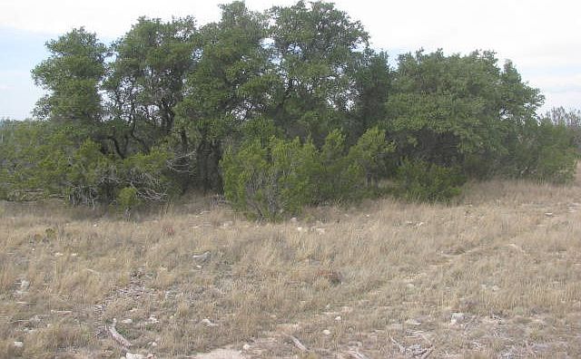 1st image of 2956 Caden Ln