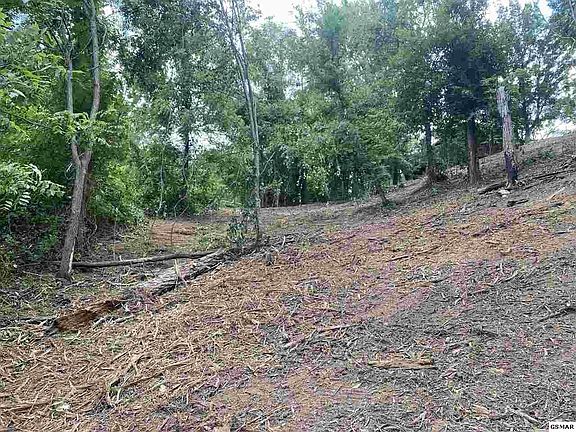 3rd image of 3579 Olde Tyme Way Lot 4
