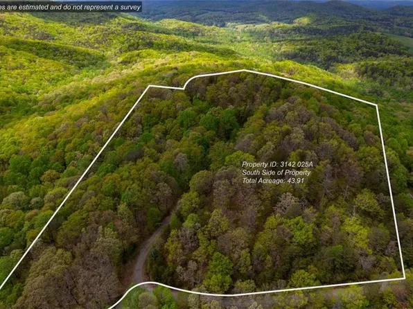 43.91 Old Burnt Mountain, Ellijay, GA 30540