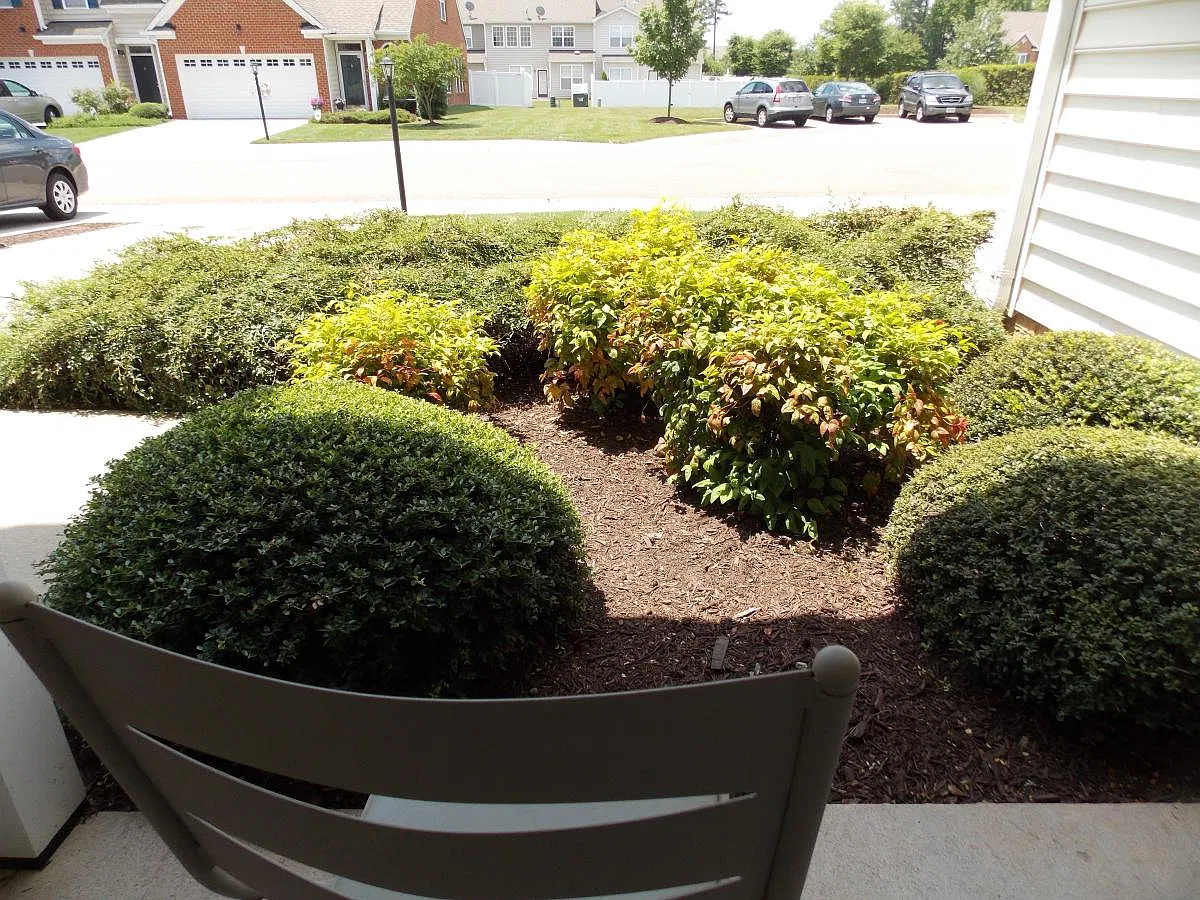 310 Jamerson Court — Photo 3