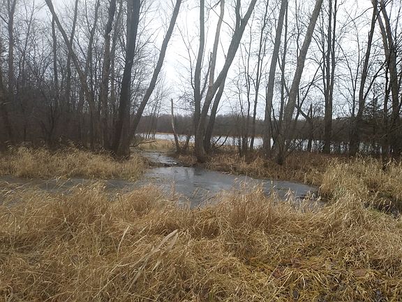Creek entering Chisago Lake