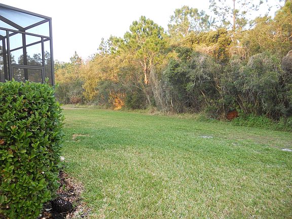 4th image of 9323 Mangrove Ct