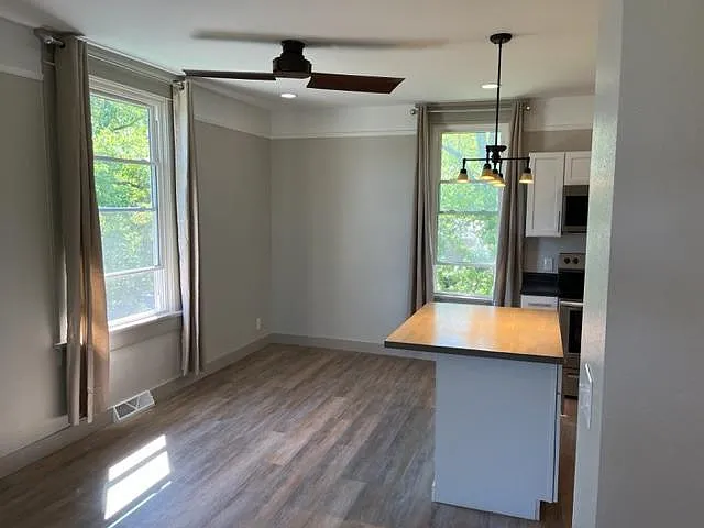 201 S Franklin 1/2 #62801 — Photo 10