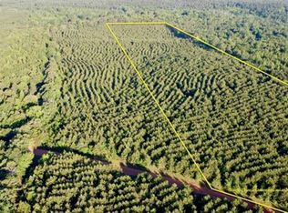 TRACT 2 County Rd #3-1512, Avinger, TX 75630