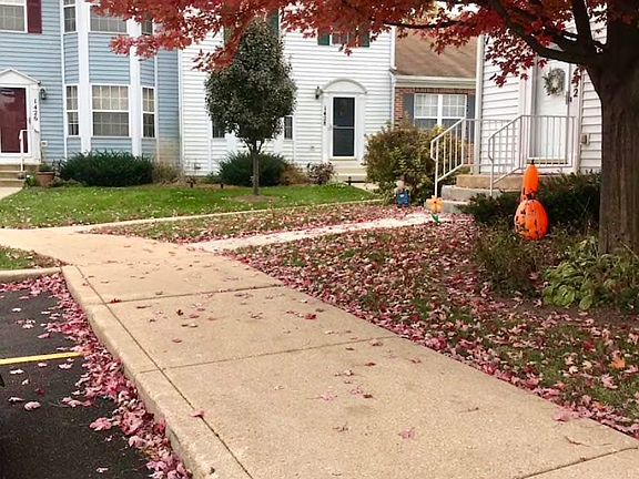 View from parking lot