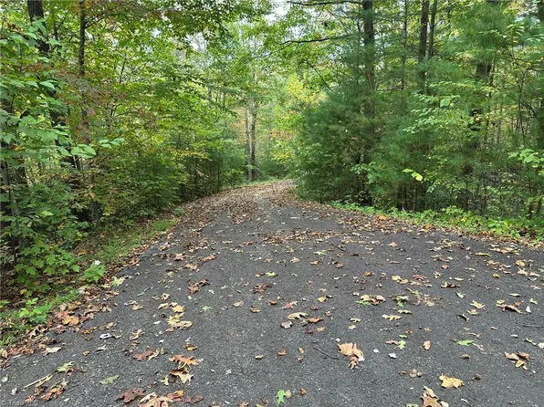 0 Timber Ridge Rd Lot 31, Ferguson, NC 28624