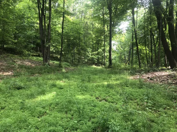 (LOT B) POND Road, Rhinebeck, NY 12572