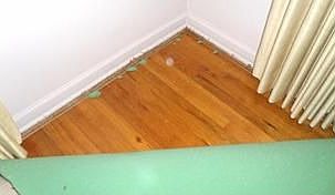 3rd image of 524 S Kentucky St