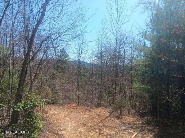 255329 Copperhead Rd, Oakdale, TN 37829