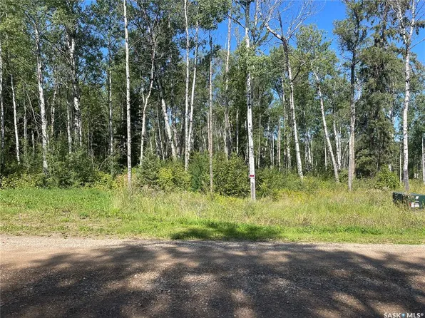 3 Phillips CRESCENT, Big River Rm No. 555, SK S0J 0E0