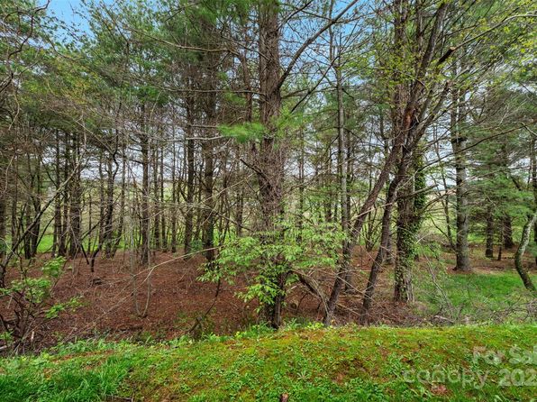 138 Village Dr, Boone, NC 28607