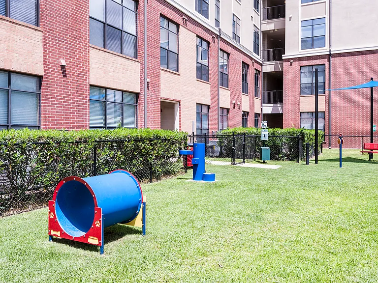 Private Paw Park with agility equipment.