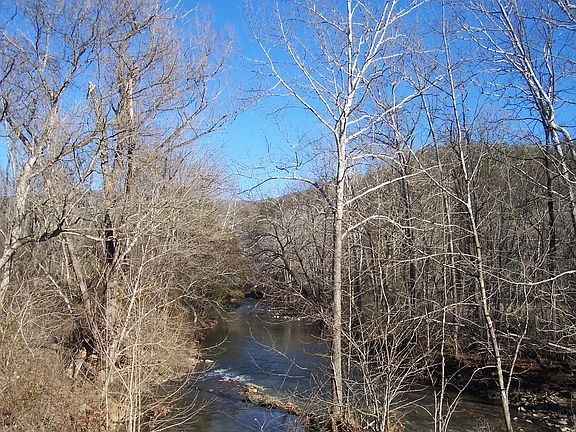 4th image of 1609 Kanawha Trl