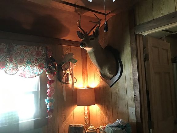 5th image of 1120 Wells Creek Dr