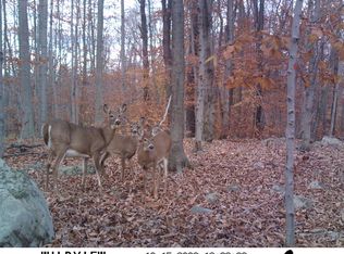 126 Three Legged Swamp Rd, Canadensis, PA 18325