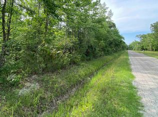 10445 Ruth Ave, Hastings, FL 32145