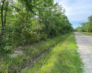 10445 Ruth Ave, Hastings, FL, 32145