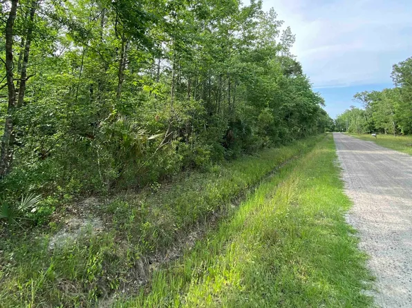 10445 Ruth Ave, Hastings, FL 32145