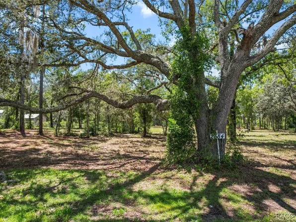 2384 S Columbine Ave, Homosassa, FL 34448